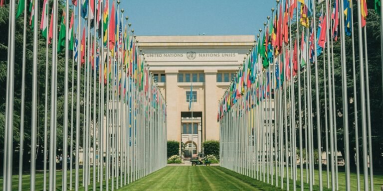 WHO Analysis Reveals 80% of Genomics Research Limited to High-Income Nations